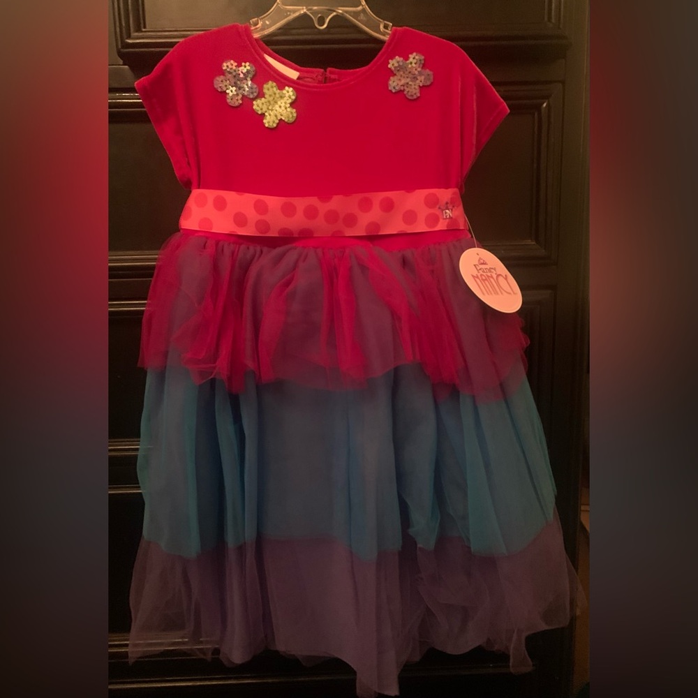 Fancy Nancy Velvet and 3 Tier  Tulle Dress with Embellished Flowers